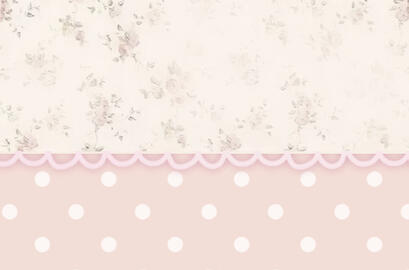 -┥- homepage